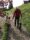 emdr therapy near me, emdr therapy online, emdr therapy cost, emdr therapy tampa, is emdr therapy expensive