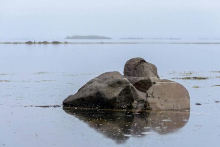 nervous system therapy Tampa